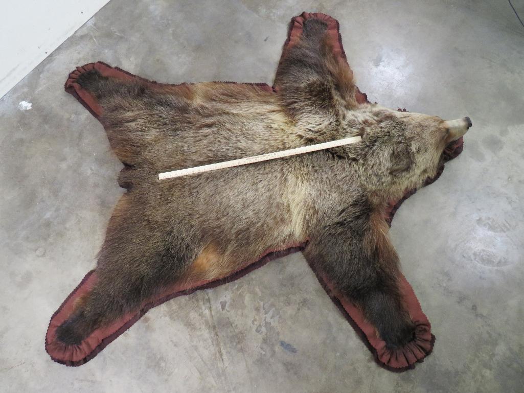 Nice Felted Grizzly Bear Rug w/Mounted Head -No claws TAXIDERMY