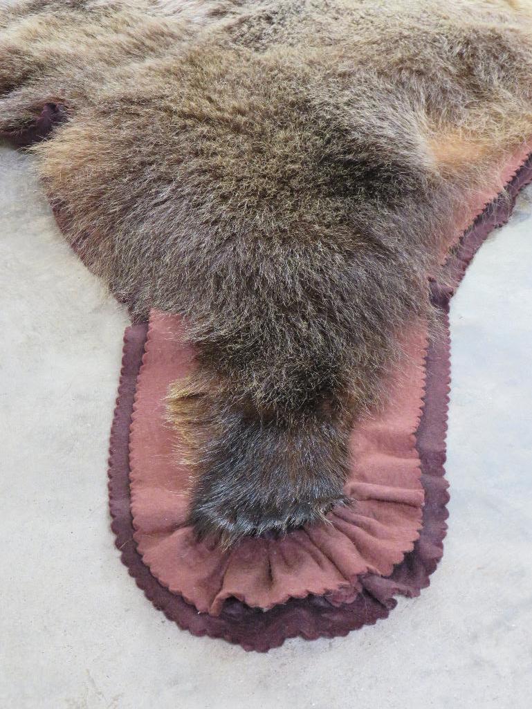Nice Felted Grizzly Bear Rug w/Mounted Head -No claws TAXIDERMY