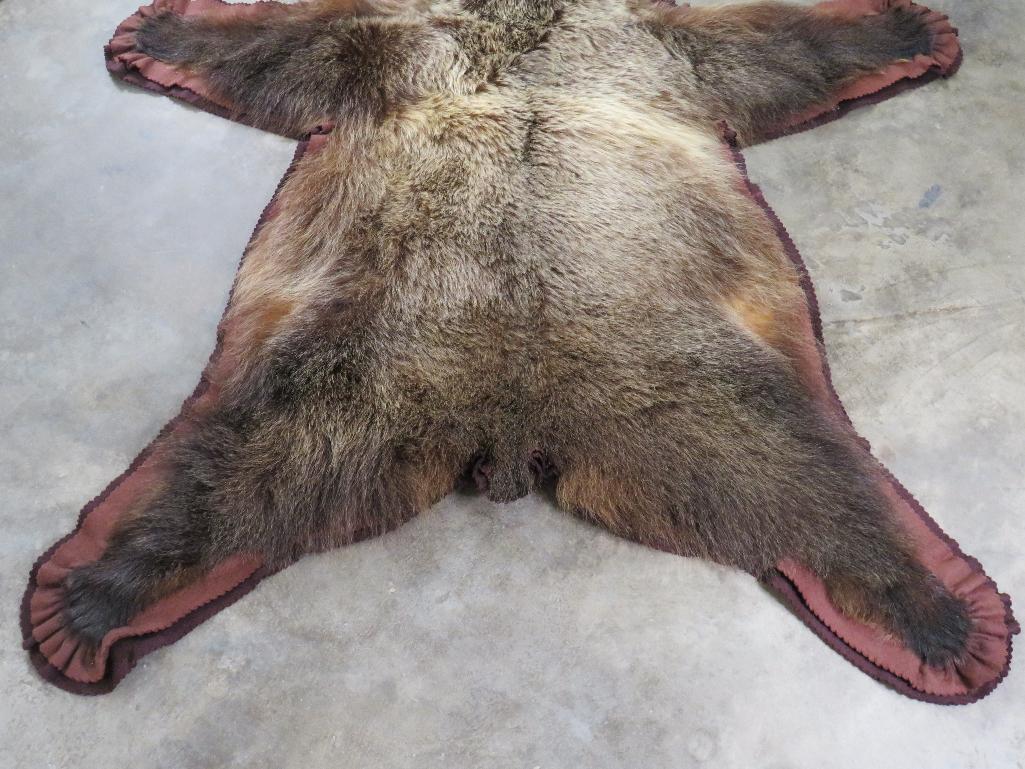 Nice Felted Grizzly Bear Rug w/Mounted Head -No claws TAXIDERMY