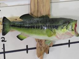 Nice Real Skin Bass on Natural Wood TAXIDERMY FISH MOUNT