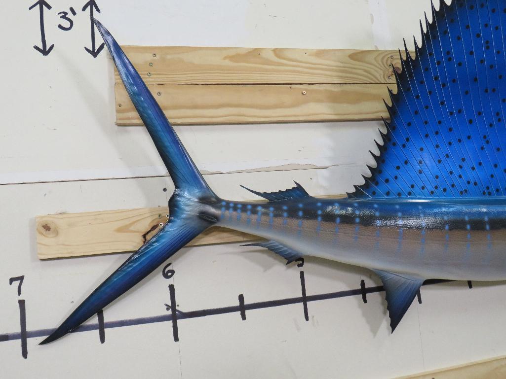 Very Nice Sailfish Mt TAXIDERMY