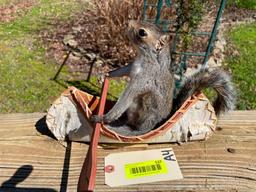 Squirrel in Birch bark canoe, going down the river, NEW taxidermy, great log cabin decor 12 inches l