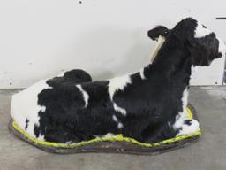 Cute Lifesize Laying Calf/Baby Cow TAXIDERMY-ODDITIES&CURIOSITIES