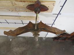 RARE Hammerhead Bat w/Hanger (taxidermy not mummified) TAXIDERMY ODDITIES&CURIOSITIES