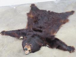 Antique Black Bear Rug w/Mounted Head TAXIDERMY