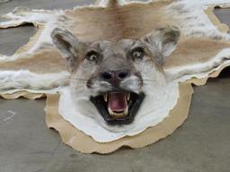 Nice Felted Mountain Lion Rug w/Mounted Head TAXIDERMY