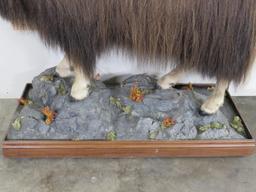 Very Nice/Clean Lifesize Musk Ox on Base w/Wheels TAXIDERMY