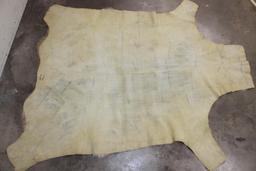 Very Nice KUDU Back Hide