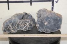 (2) Petrified Wood Slab Slices (ONE$)