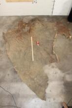XL Piece of Soft and Tanned African ELEPHANT Hide