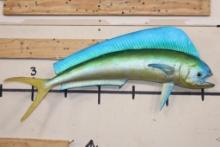 Real Skin MAHI-MAHI Fish Mount