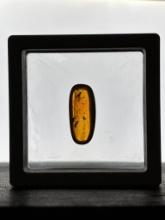 Authentic 10.3 ct Myanmar AMBER Fossil Resin with a Horsefly Inclusion