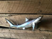 *New in the Box* Reproduction SAND SHARK Fish Mount