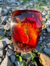 Real SCORPION Specimen in Simulated Amber