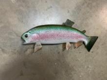 *New in the Box* RAINBOW TROUT Fish Mount