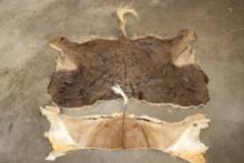 (1) BLACK WILDEBEEST Back Hide and (1) IMPALA Back Hide (ONE$)