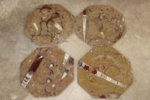 Set of (4) Polished ORTHOCERAS and AMMONITE Fossil Dinner Plates (ONE$)