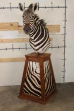 ZEBRA Pedestal Mount with 4 ZEBRA Hide Panels on its Wooden Base