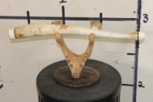 WALRUS OOSIK with WALRUS Tusk IVORY, mounted on a Walrus Jaw and Fossilized Whale Vertebrae Stand