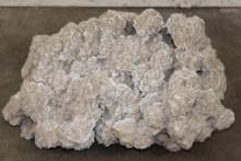 XXL 40 lb "Desert Rose" GYPSUM and Selenite Crystal Formation
