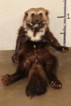 *Rarely Seen* Life-sized WOLVERINE Soft Mount