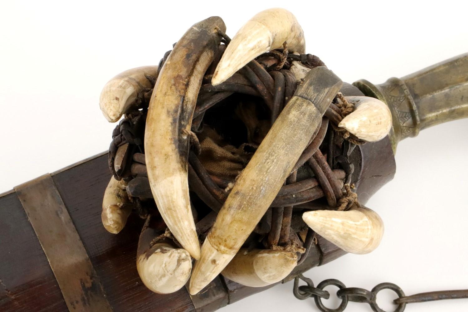 Very Rare 19th C. Indonesian Nias Sumatra BALATO Sword ~ Alligator Teeth Mounts ~ Museum Number on S