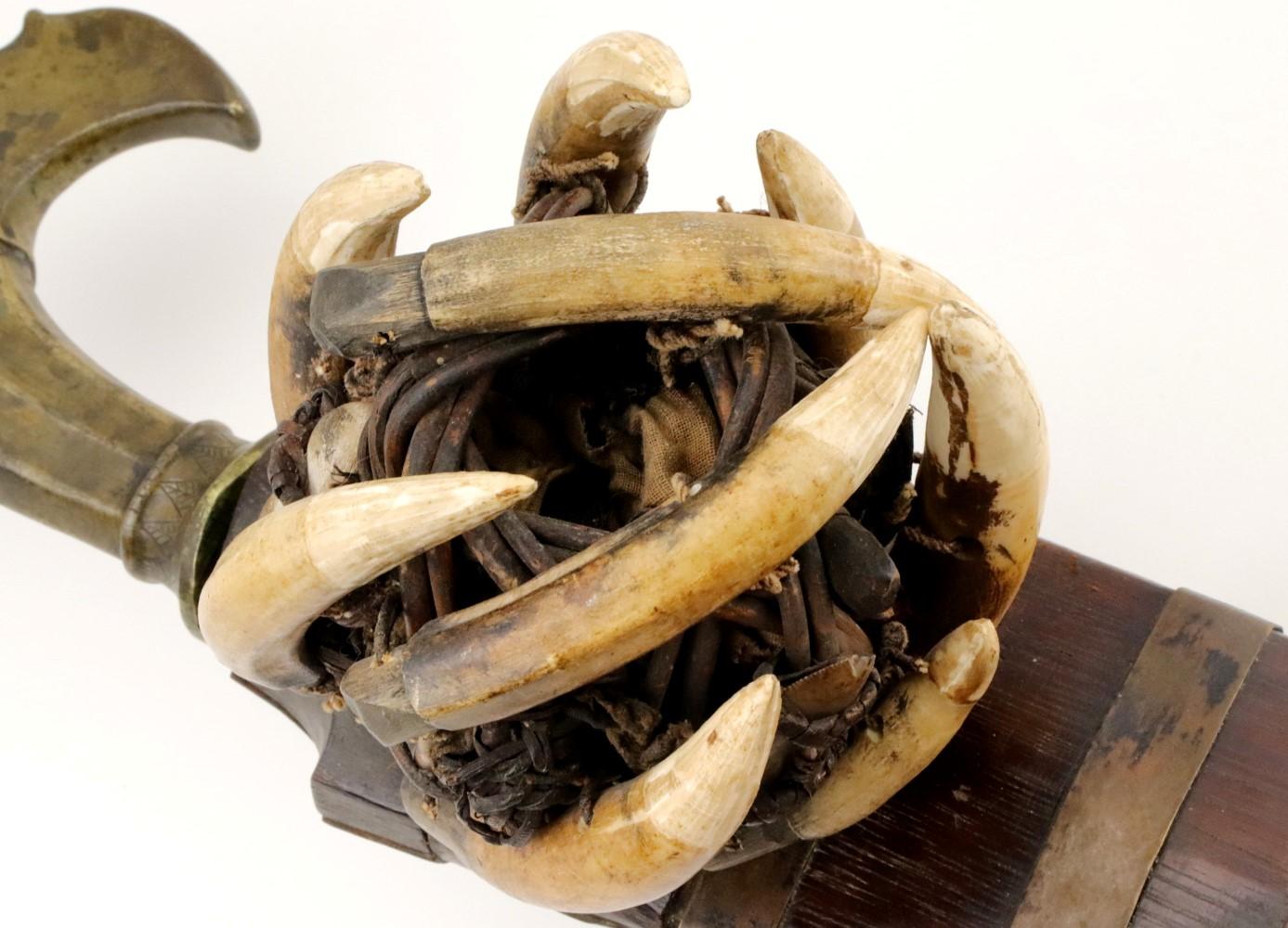 Very Rare 19th C. Indonesian Nias Sumatra BALATO Sword ~ Alligator Teeth Mounts ~ Museum Number on S