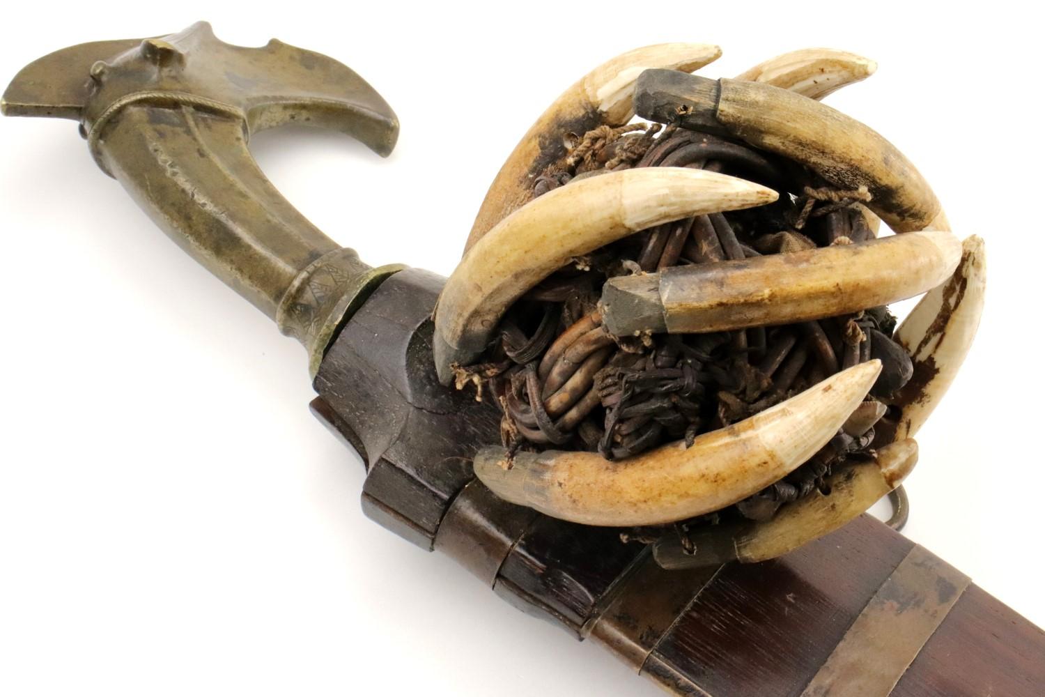 Very Rare 19th C. Indonesian Nias Sumatra BALATO Sword ~ Alligator Teeth Mounts ~ Museum Number on S