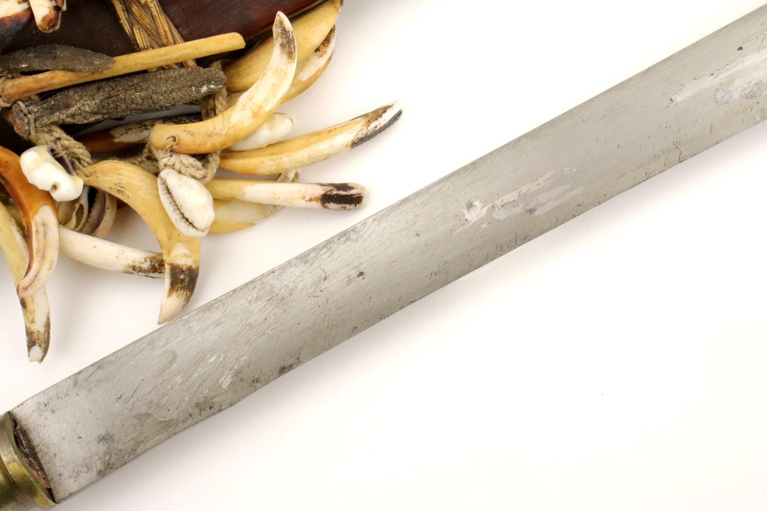 Rare 19th - early 20th C. Indonesian Nias BALATO Sword (telugu, balatu sebua) ~ Animal Teeth & Shell