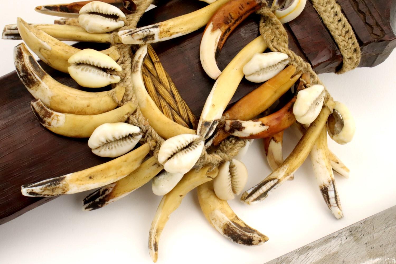 Rare 19th - early 20th C. Indonesian Nias BALATO Sword (telugu, balatu sebua) ~ Animal Teeth & Shell