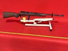 Arms Corporation 20P .22