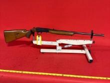BROWNING SA .22