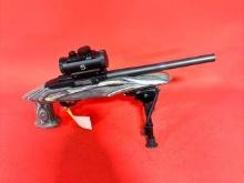 Ruger Charger .22