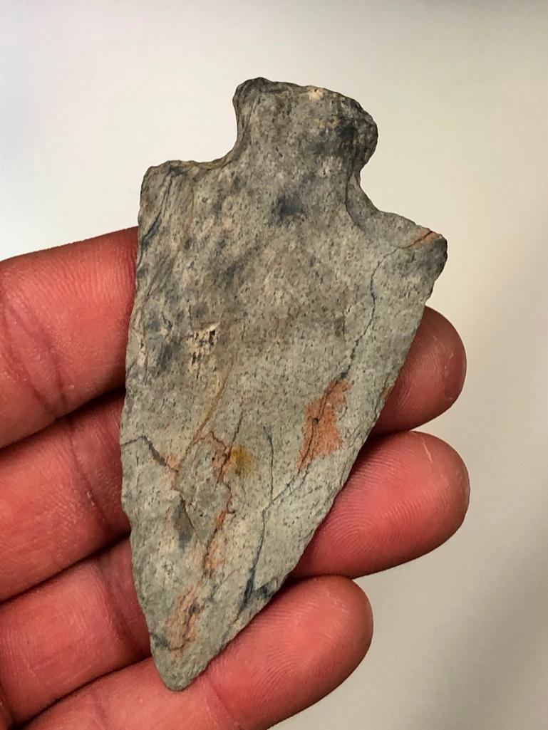 3 1/8" Rhyolite Perkiomen-Long Level, York Co., PA Ex: Bowser