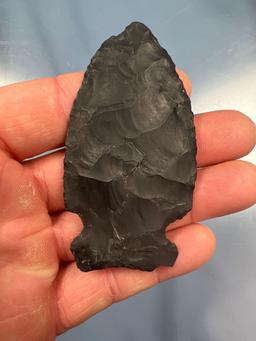 3 1/8" Black Chert Big Sandy Point, Found in Kentucky, Nicks Noted