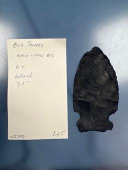 3 1/8" Black Chert Big Sandy Point, Found in Kentucky, Nicks Noted