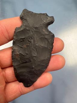 3 1/8" Black Chert Big Sandy Point, Found in Kentucky, Nicks Noted