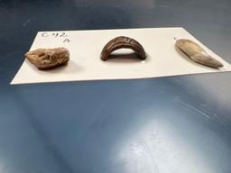 Lot of Drilled Teeth (Elk, Canines) and Incised Bone Ring, Sites in NY, Pictured in Lar Hothem's