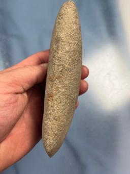 6 1/2" Polished Celt, Found in New Jersey, Ex: Dayton Staats Collection