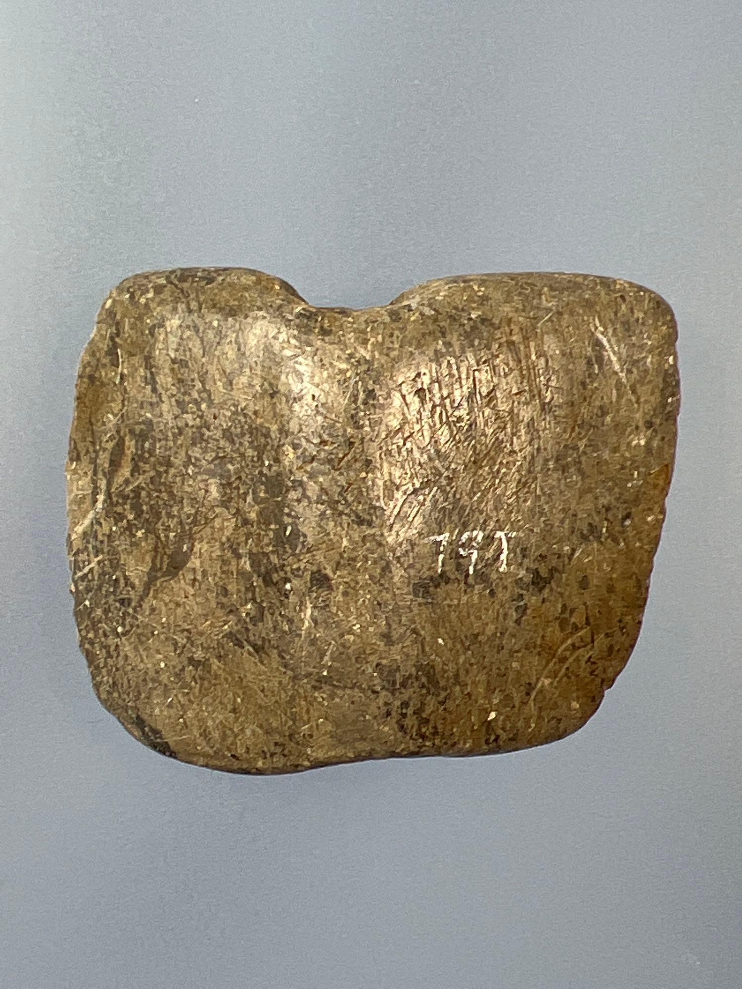 2" Polished Shield Bannerstone Found in NJ near the Holland Sand Pits, Well Made, Incising noted