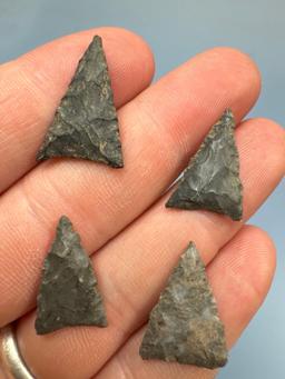 Lot of 4 FINE Iroquoian Triangles, Found on the West Shore of Chautauqua Lake, New York, Longest 1