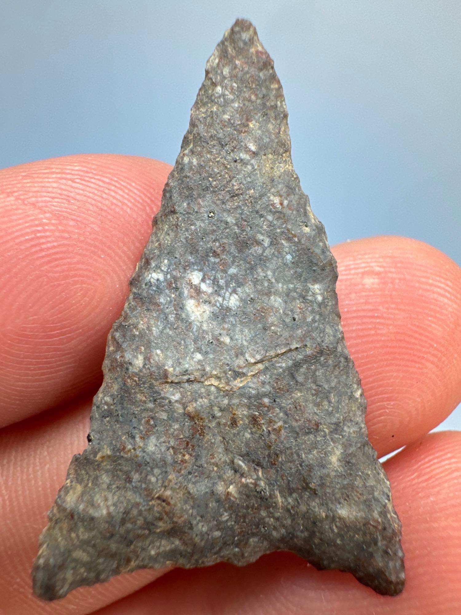 Fine 1 1/2" Triangle Point, Found in Burlington Co., New Jersey, Purchased from Rich Johnston