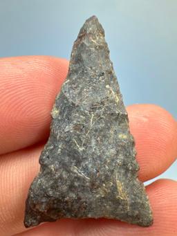 Fine 1 1/2" Triangle Point, Found in Burlington Co., New Jersey, Purchased from Rich Johnston