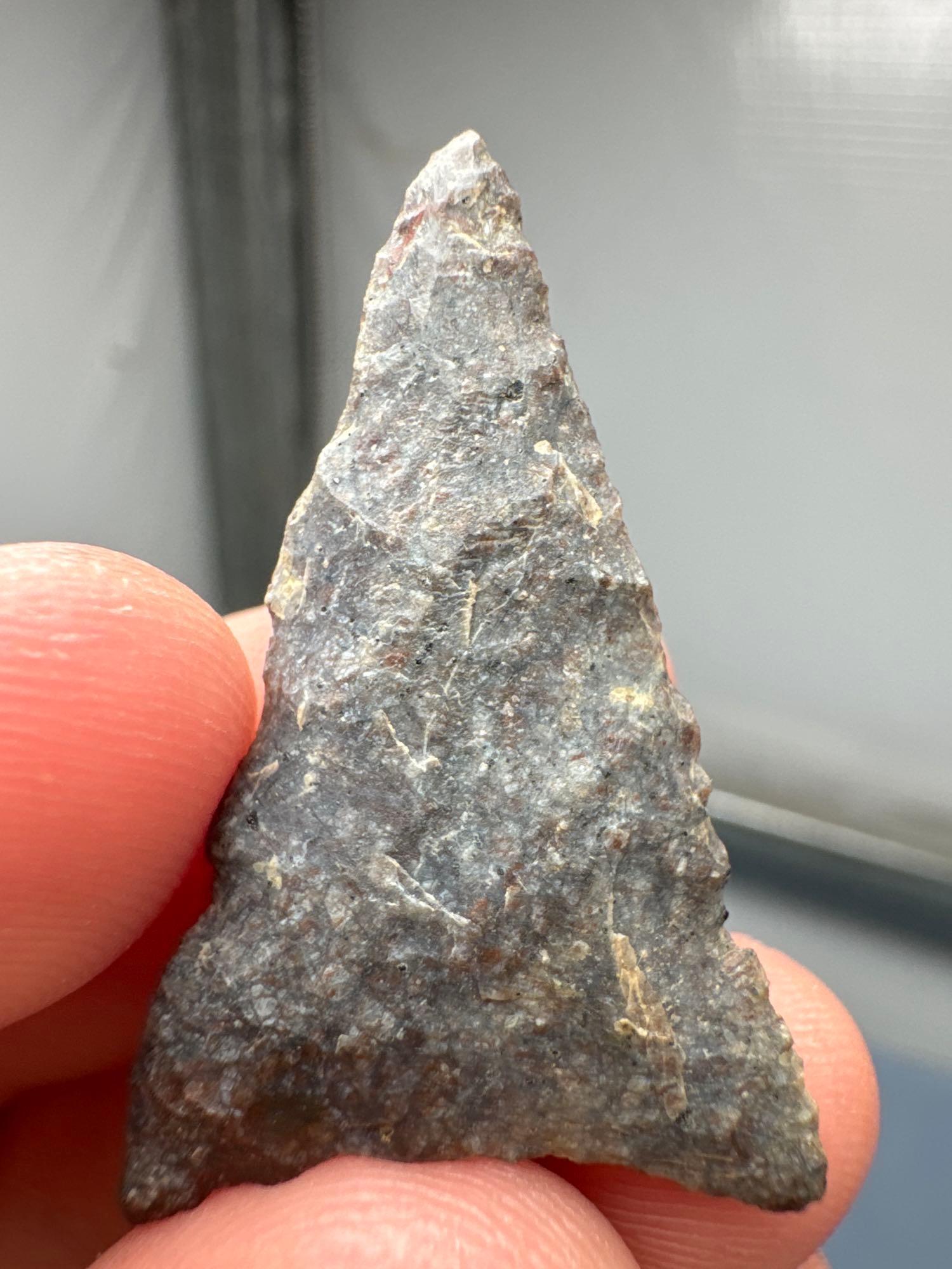 Fine 1 1/2" Triangle Point, Found in Burlington Co., New Jersey, Purchased from Rich Johnston