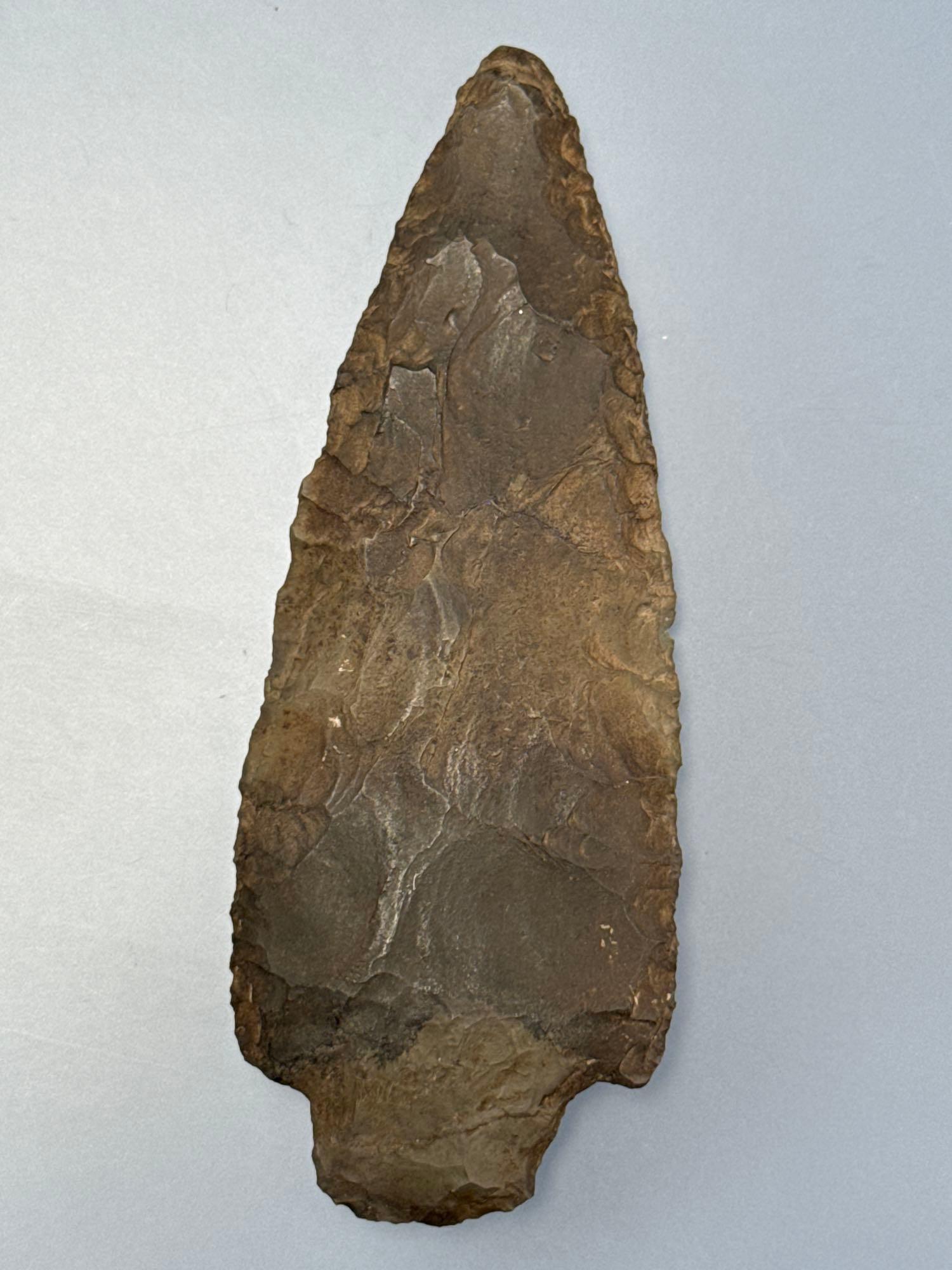 XL 5 3/16" Multi-Colored Chert Adena Point, Found in New Jersey, Great Example and LARGE