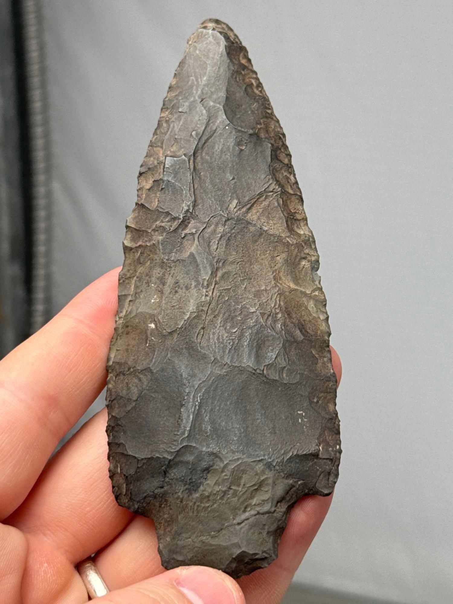 XL 5 3/16" Multi-Colored Chert Adena Point, Found in New Jersey, Great Example and LARGE