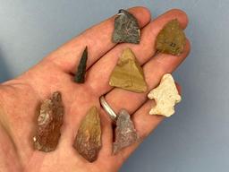 Lot of Various Jasper, Chert, Chalcedony Points, Found in New Jersey, Longest is 1 5/8"