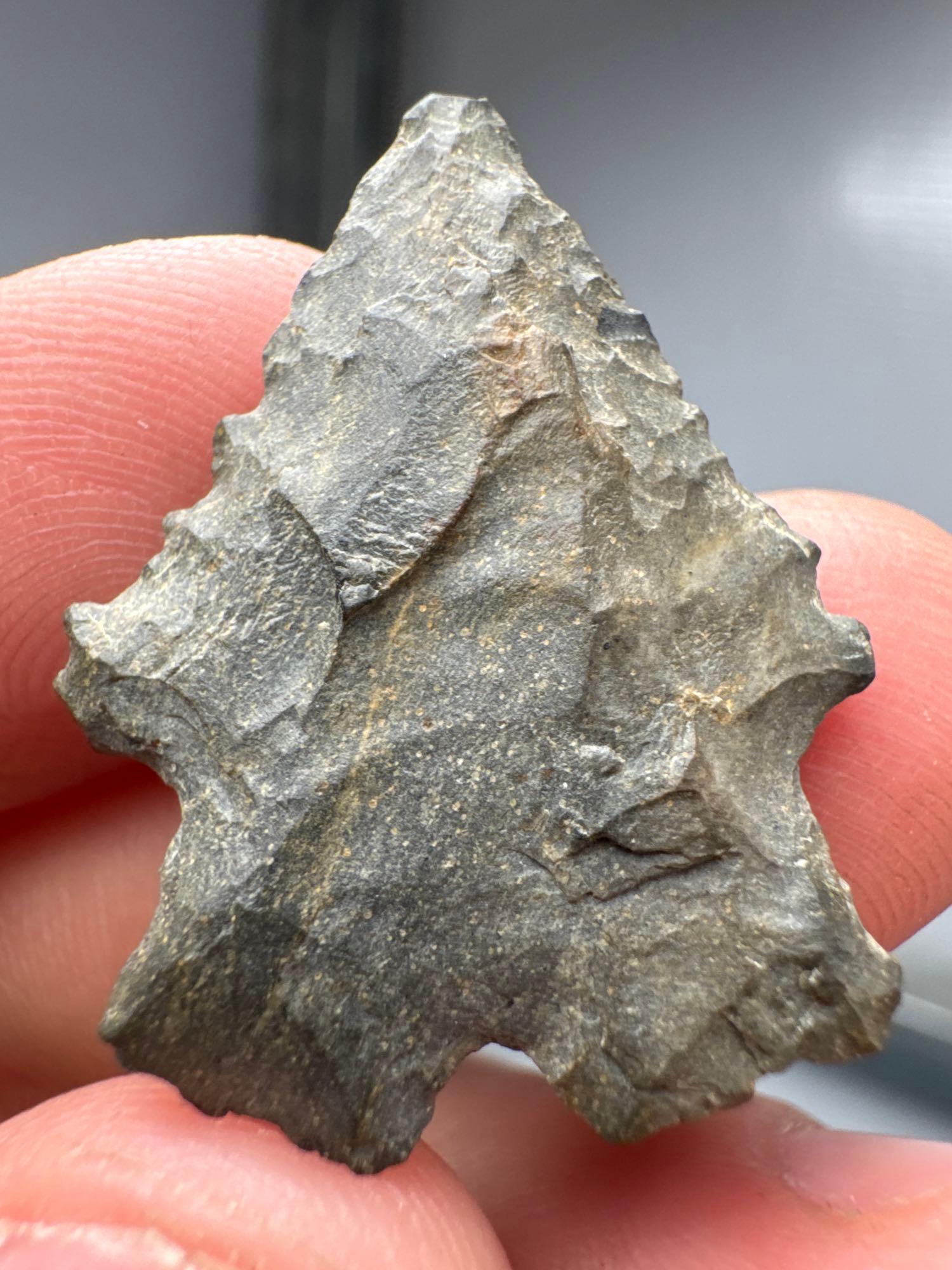 1 3/16" Chert Bifurcate Point, Found in New Jersey