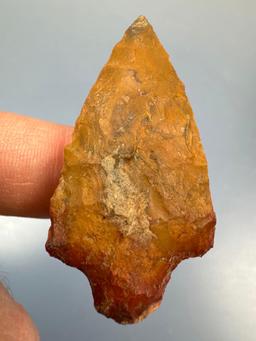 1 7/8" Multi-Tone Jasper (Red Base) Cobble Jasper Piscataway, Found in New Jersey