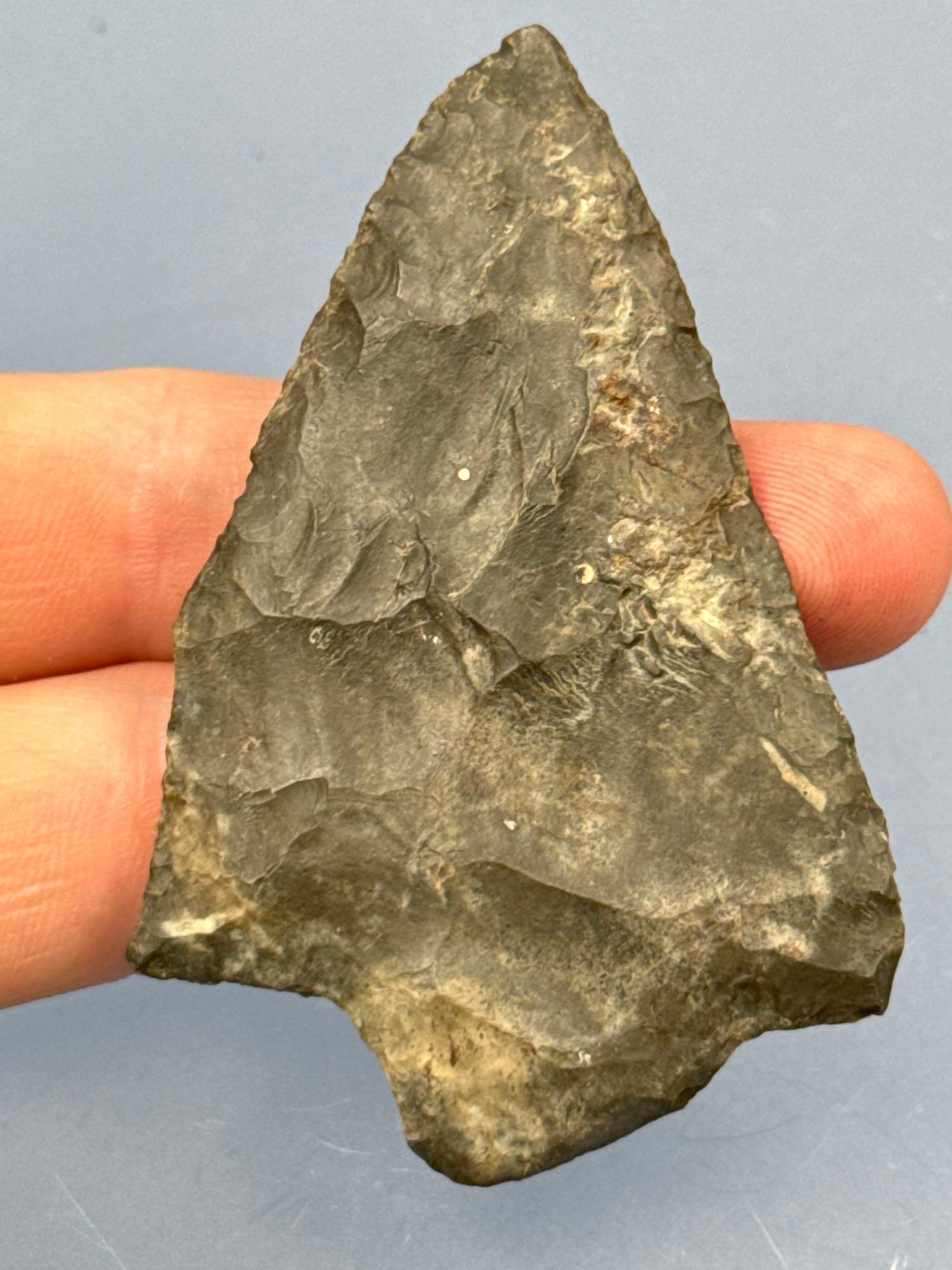 2 3/4" Normanskill Chert Lehigh Broadpoint, Nice Coloration, Found in New Jersey